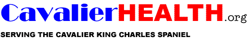 CavalierHealth.org