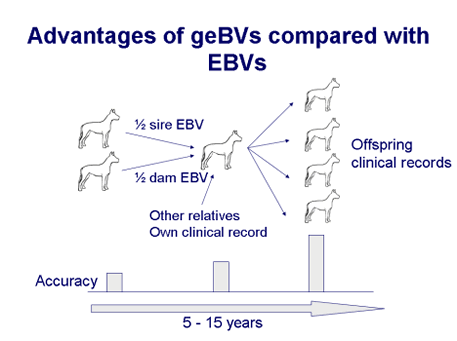 Advantages of geBVs compared with EBVs -- Sarah Blott