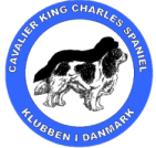 Danish Cavalier King Charles Spaniel Club