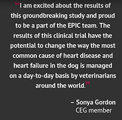 Dr. Sonya Gordon's Pre-Peer-Review Comment About EPIC Results