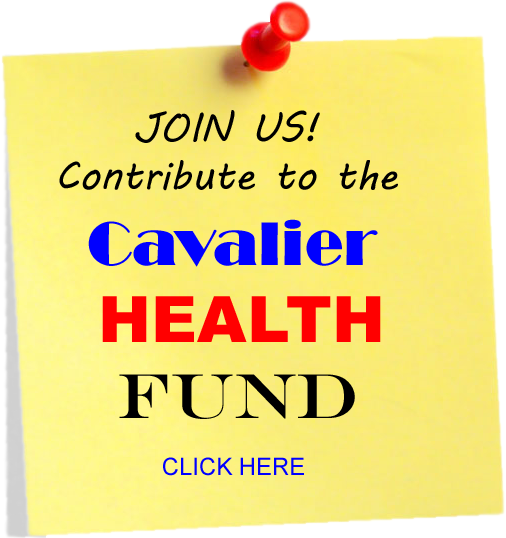 Cavalier Health Fund