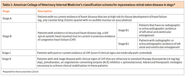 ACVIM Stages of MVD