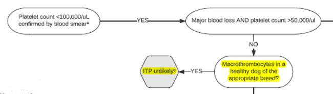 ACVIM Algorithm