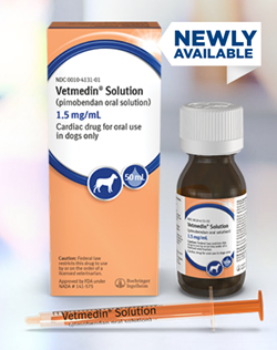 Vetmedin Oral Solution