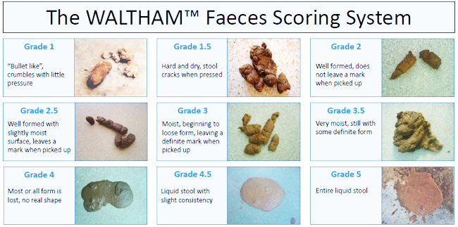 Waltham Faeces Scoring System